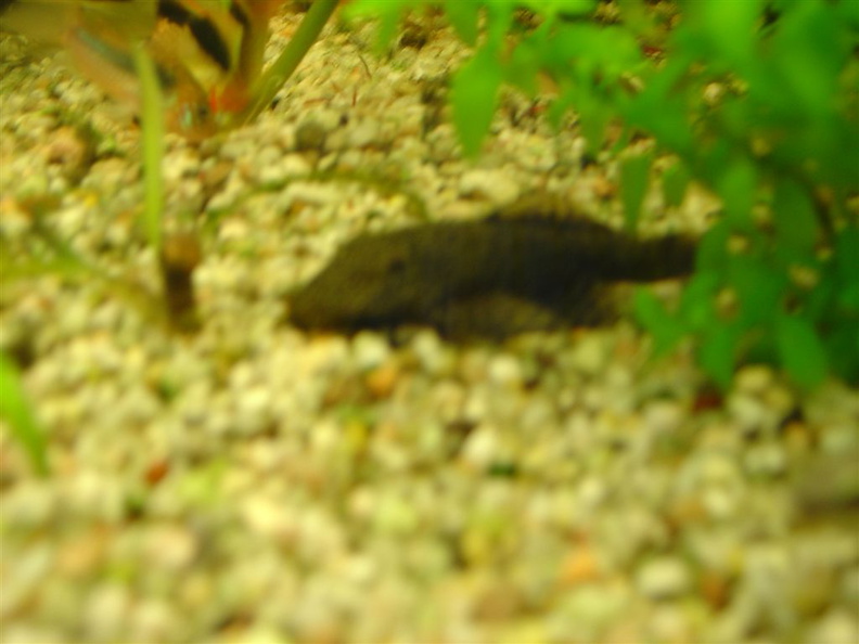 DSC01734