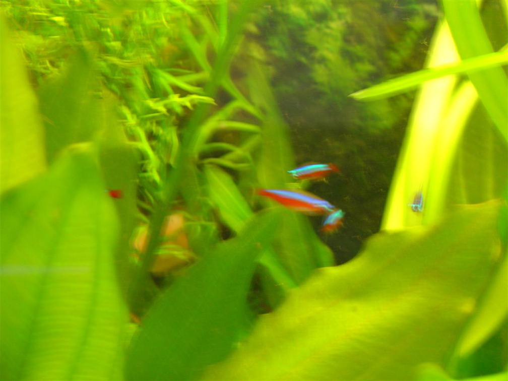 DSC01778