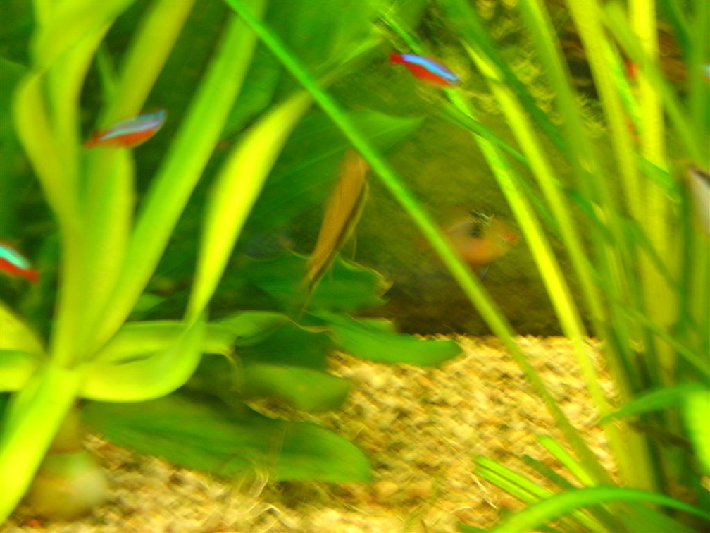 DSC01781
