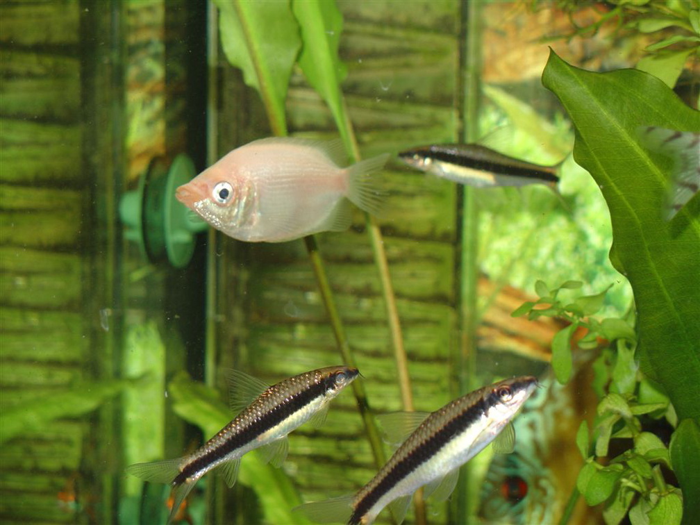 DSC01784