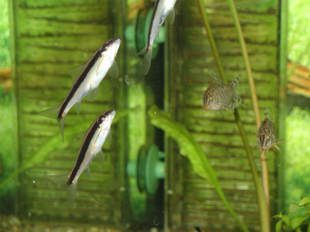 DSC01785