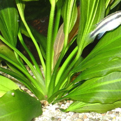 DSC01790