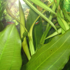 DSC01796