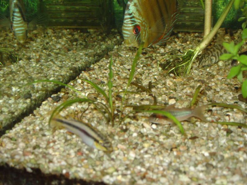 DSC01797.JPG