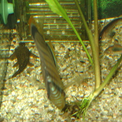 DSC01815