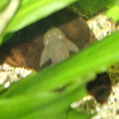 DSC01816