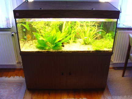 aquarium