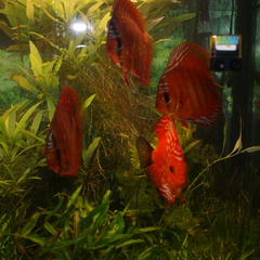 DSC00130