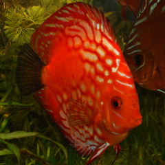 DSC00132