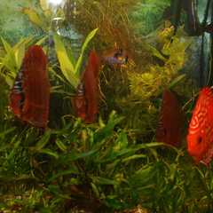 DSC00141