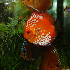 DSC00173