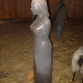 DSC03100