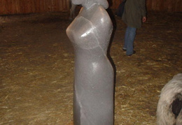 DSC03100