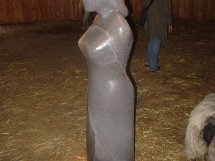 DSC03100