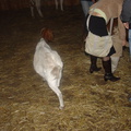 DSC03102