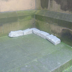 DSC03195