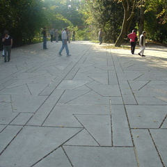 DSC03199