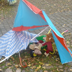 DSC03246