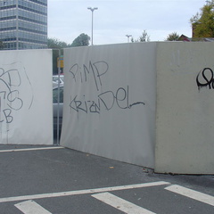 DSC03252