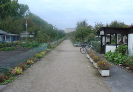 DSC03257