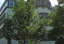 DSC00030