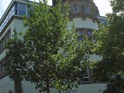 DSC00030