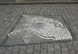DSC00049