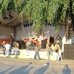 DSC05321