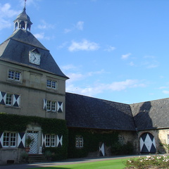 DSC05107