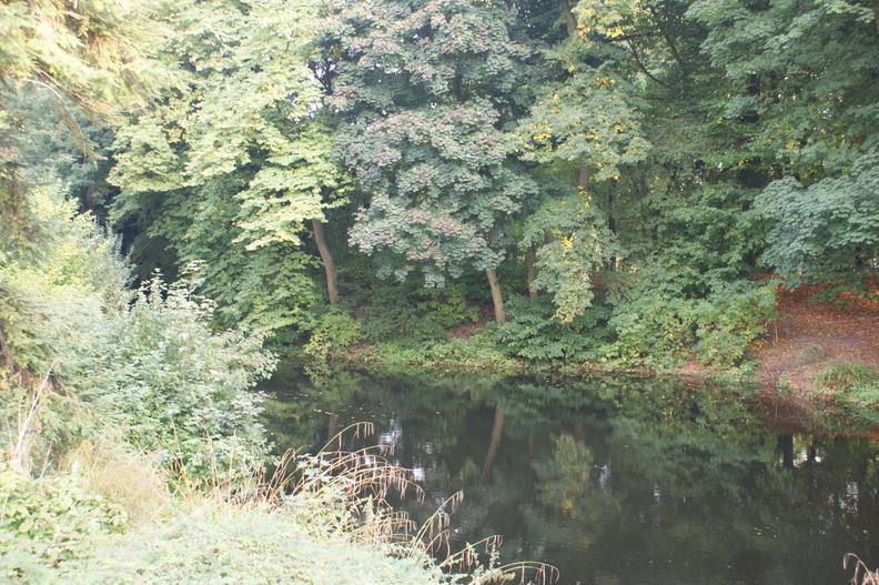 DSC00108.jpg