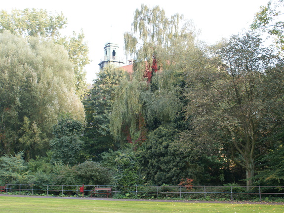 DSC00116