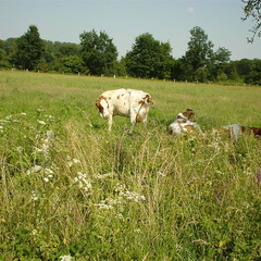 DSC00044
