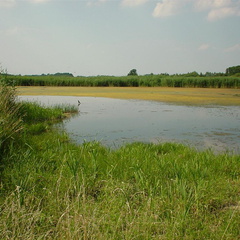 DSC00046