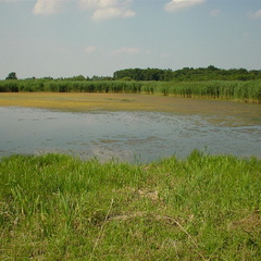 DSC00047