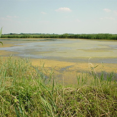 DSC00048