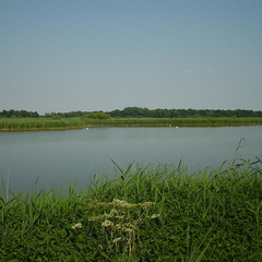 DSC00051