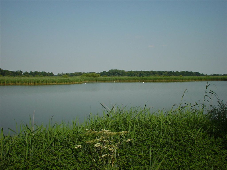 DSC00051