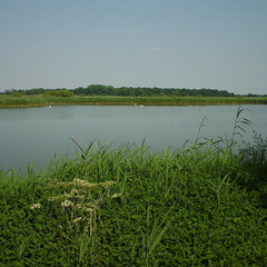 DSC00052