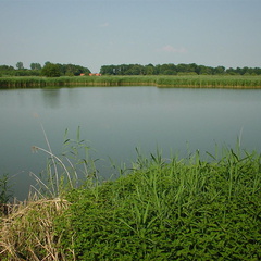 DSC00053