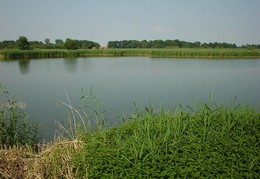 DSC00053