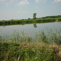 DSC00054
