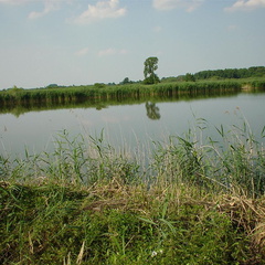 DSC00054