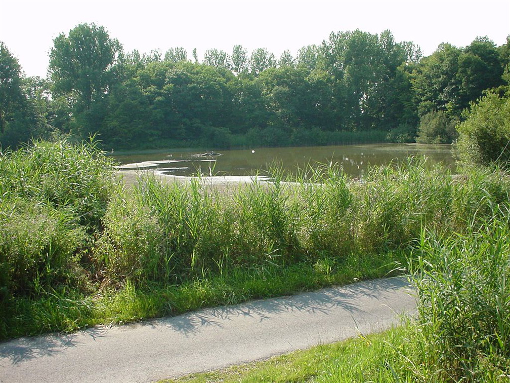 DSC00055