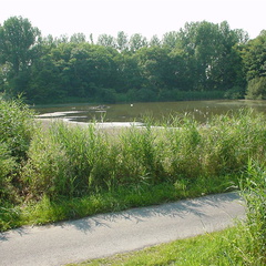 DSC00055