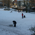 DSC00188