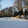 DSC00203