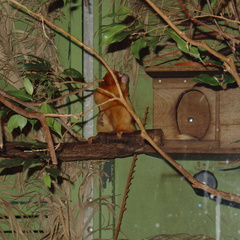 DSC03003