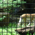 DSC00304