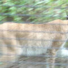 DSC00306