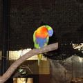 DSC00308